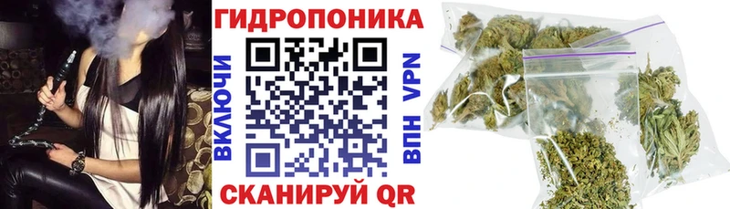 Где купить наркоту Карачев Канабис Кокаин Псилоцибиновые грибы БУТИРАТ ГАШИШ МЕФ