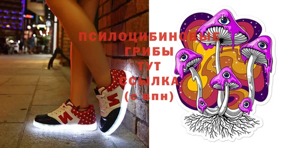 кокс Алексеевка